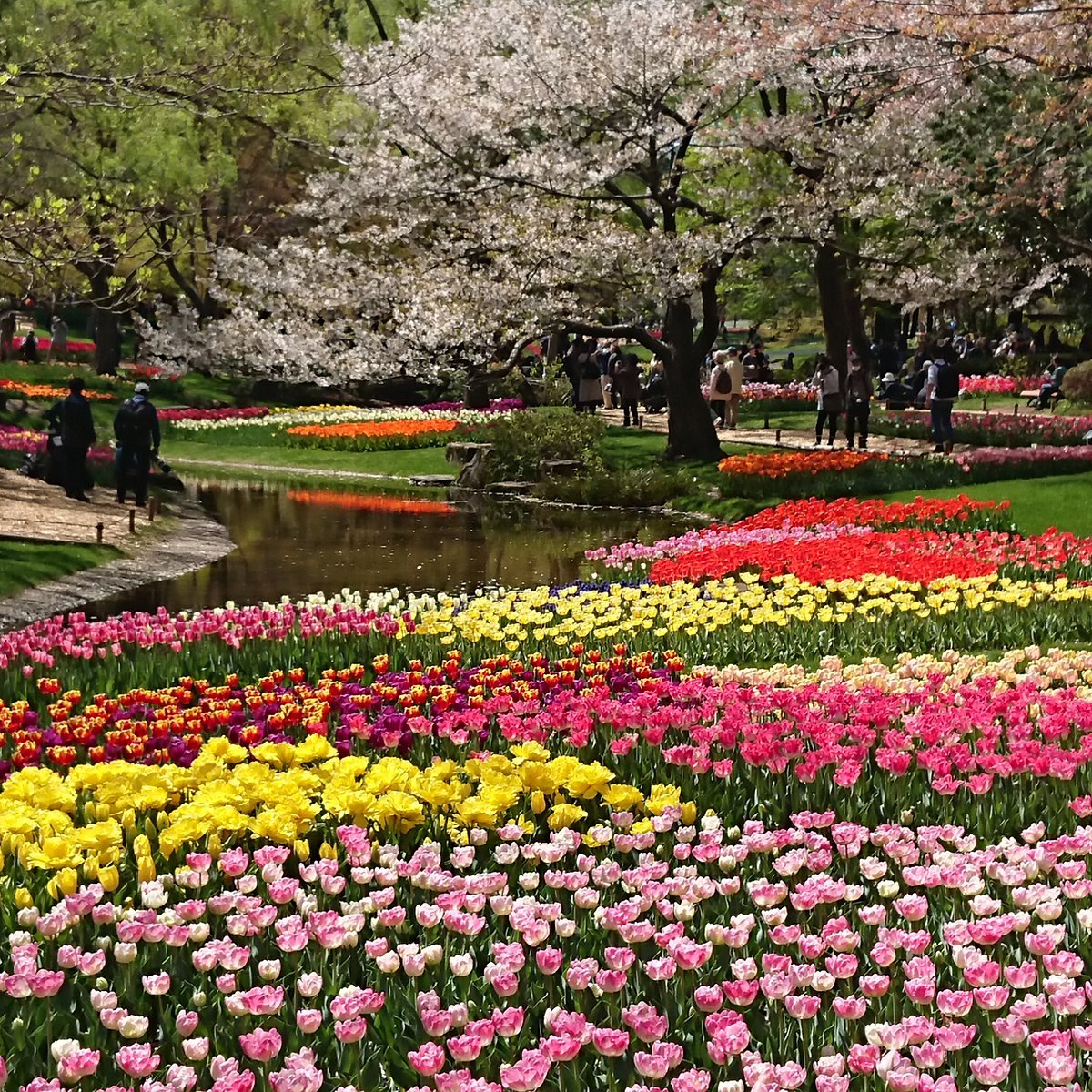 🌳 무사시노 중앙공원 (무사시노 추오 코엔) 이미지 8